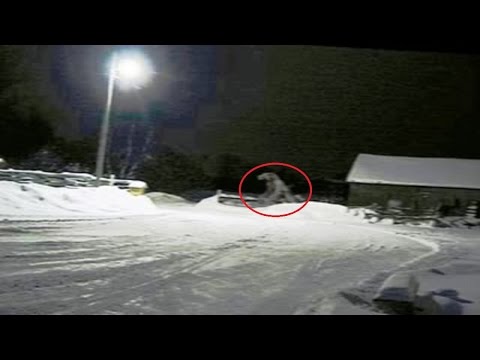 Real Shocking Dogman Encounters In Alpena, Michigan