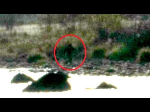 Bigfoot Research And Hoaxes