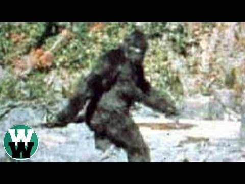 20 Most Convincing Bigfoot Sightings of All Time