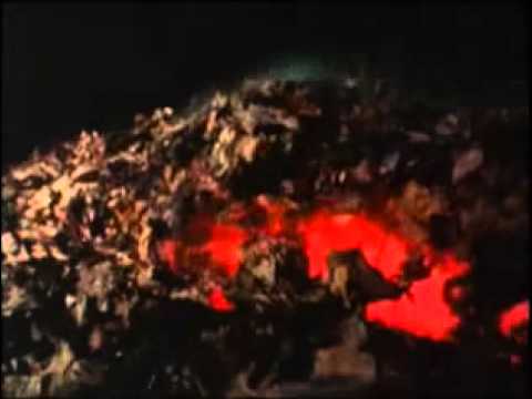 Evil Dead (1981) - Original Trailer