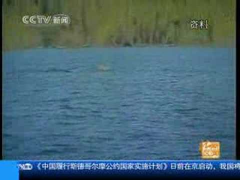 unknown creature in Kanas Lake 新疆喀纳斯湖现湖怪群