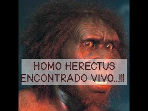 HOMO HERECTUS real....!!!