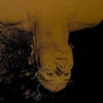 Altered States (1980) Movie Review