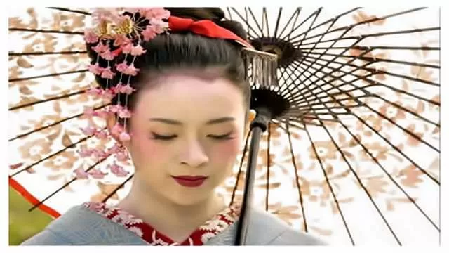 Memoirs of a Geisha