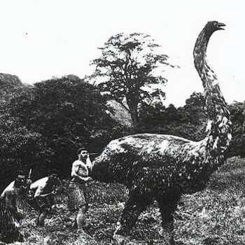 Giant Moa 1