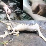 Hairless "Gollum" like Creature