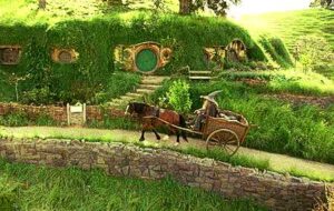 Hobbits: A Million-Year History on Flores Island