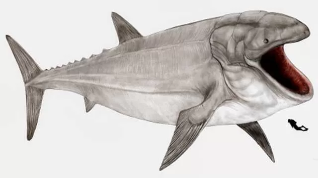 Leedsichthys