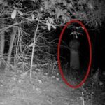 Oklahoma Mysterious Zoo Proves Ghost may exist?