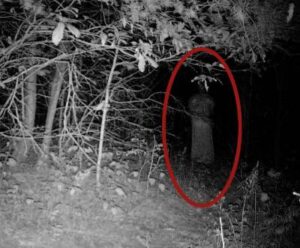 Oklahoma Mysterious Zoo Proves Ghost may exist?