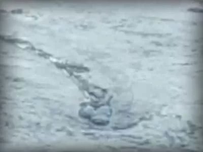 Iceland's Loch Ness Monster