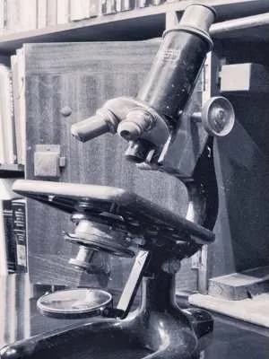 Unveiling the History of the Microscope