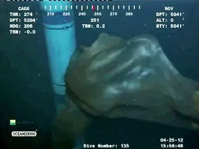 Deep Sea Blob