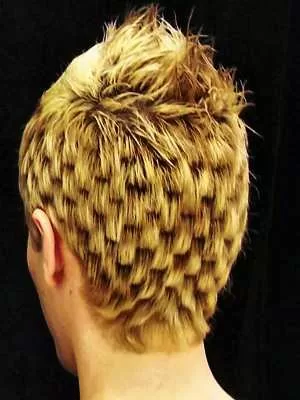 10 Craziest Hairstyles