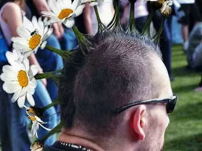 10 Craziest Hairstyles