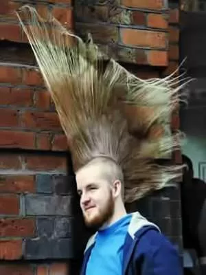 10 Craziest Hairstyles