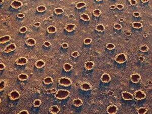 Mysterious African 'Fairy Circles'