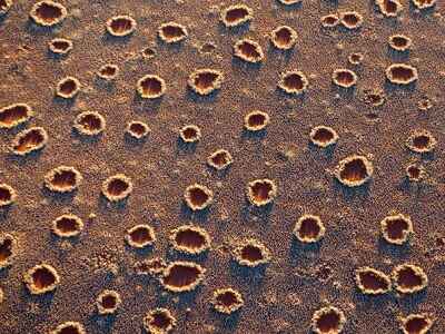 Mysterious African 'Fairy Circles'