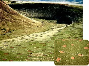 Mysterious Fairy Circles