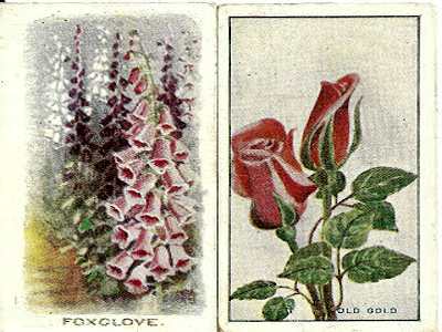 Vintage World of Cigarette Cards