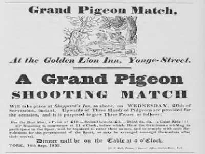 Tale of the Passenger Pigeon