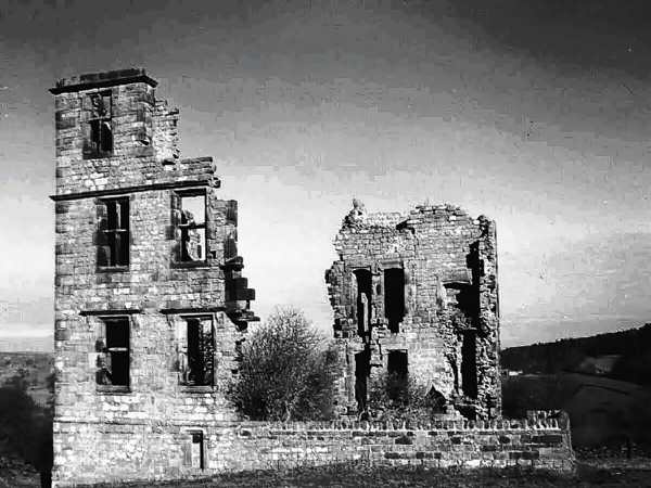 The ruins of Dobb Park Lodge