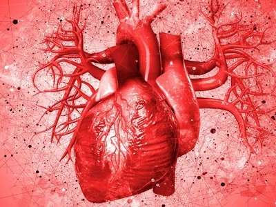 Heart Attack Ratio Male vs Female Researchers Guide