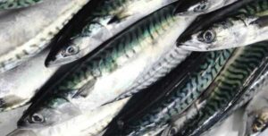 Reduce Premature Death Risk By Eating Fish