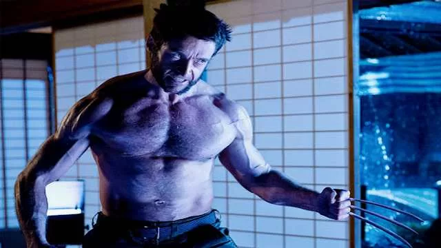 The Wolverine (2013)