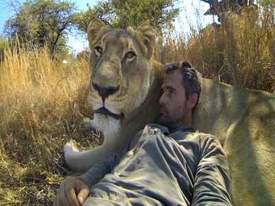 Man tries to hug a wild lion