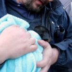 Heart-Stopping Rescue: Puppy Saved from Underground Pipe!