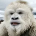 Russian Yeti