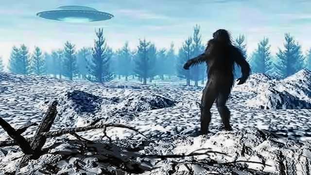 Unraveling Mysteries Bigfoot