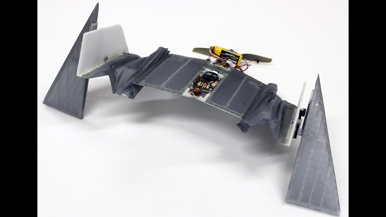 Robot Bat Uses Its Wings To Walk As Well As Fly