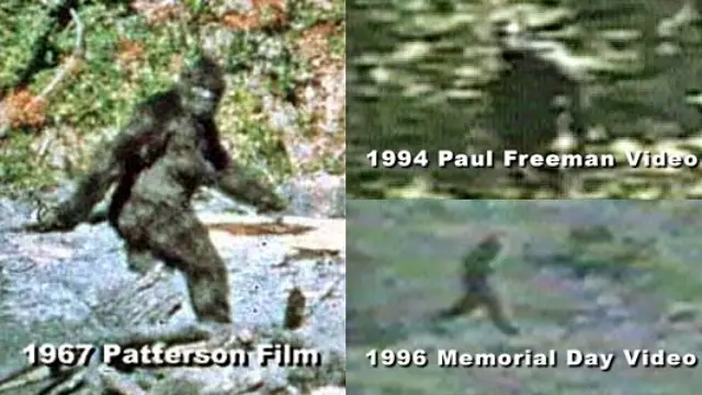 Are Bigfoot sightings real