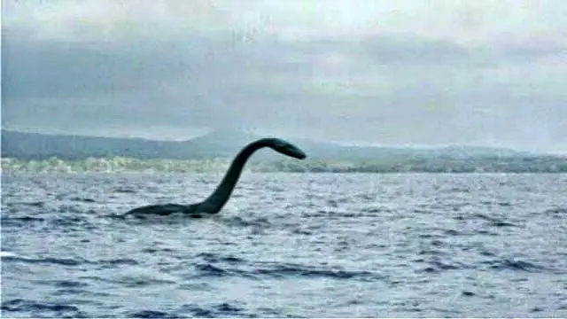 Plesiosaur in Lake Champlain