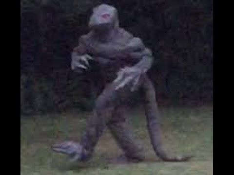 Lizard Man Of Bishopville