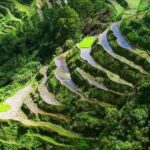 Banaue Rice Terraces