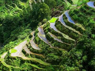 Banaue Rice Terraces