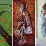 9 Bizarre Modern Mysteries