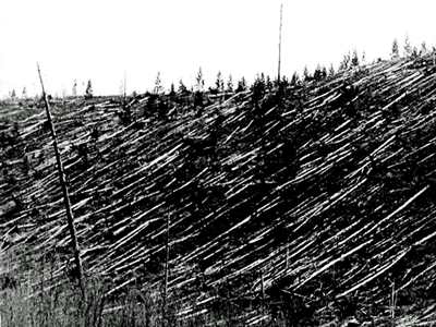 Tunguska Event 2024