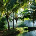 Munroe Island in Ashtamudi Lake