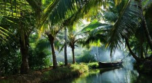 Munroe Island in Ashtamudi Lake