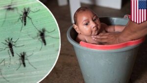 Female to Male Sexual Transmission Of Zika