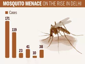 Dengue in Delhi