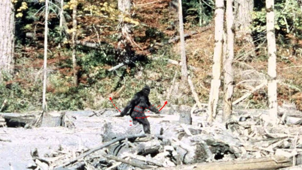 Documented Sightings of Real Bigfoot