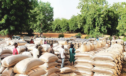 Some people are not happy as Nigeria nears sufficiency in Rice