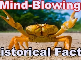 9 Mind-Blowing Historical Facts