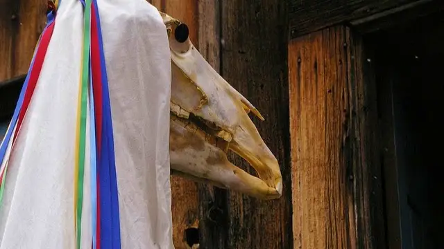 Horse Skull Parade of Mari Lwyd