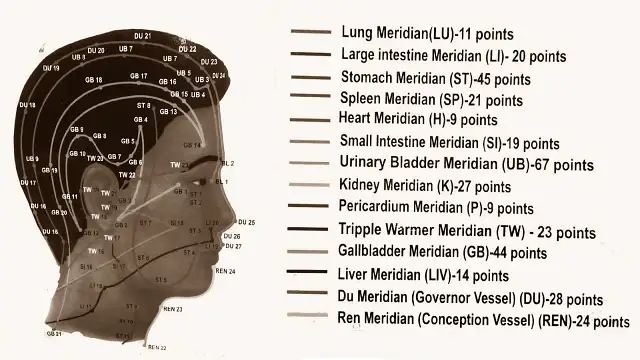 Acupuncture Alarm Points